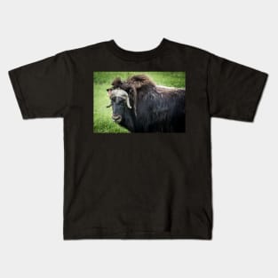 North American Wildlife - Bull Musk Ox Kids T-Shirt